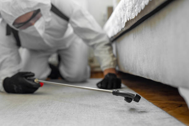 Professional Termite Control technician working in Van Buren County County, AR